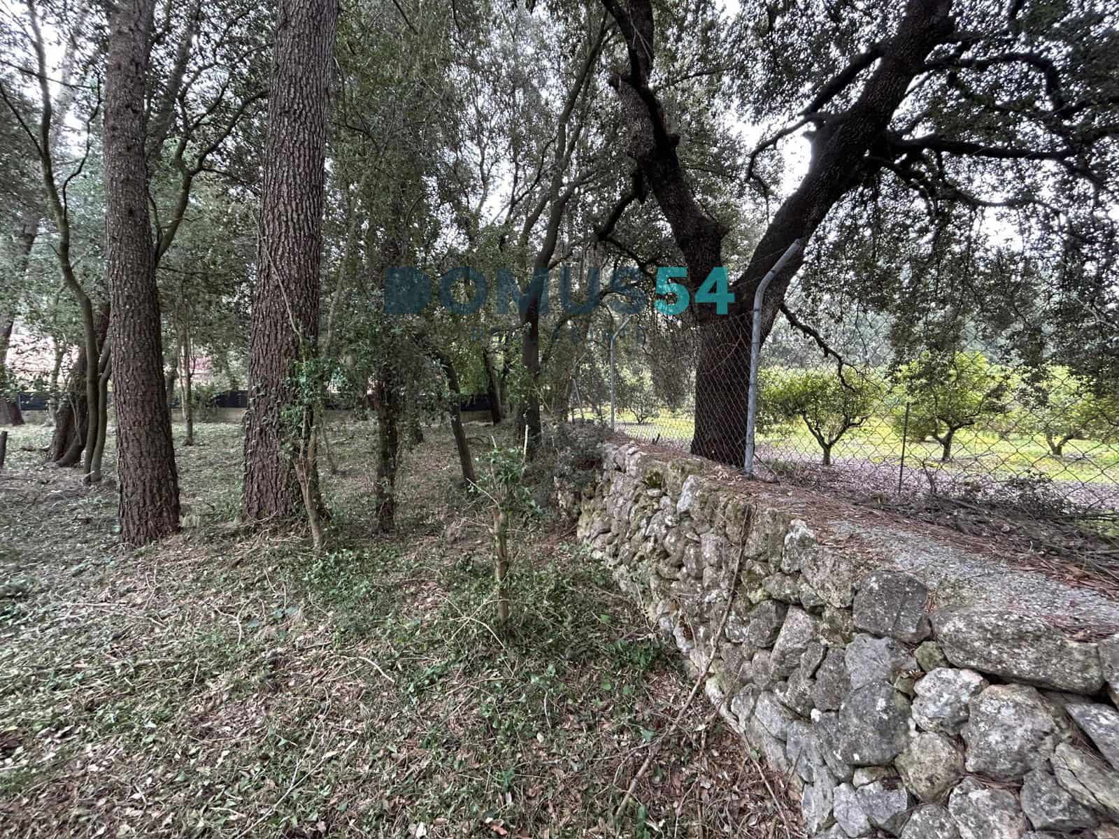 Bouwgrond te koop in Sa Pobla - € 400.000 (Ref: 9776013)
