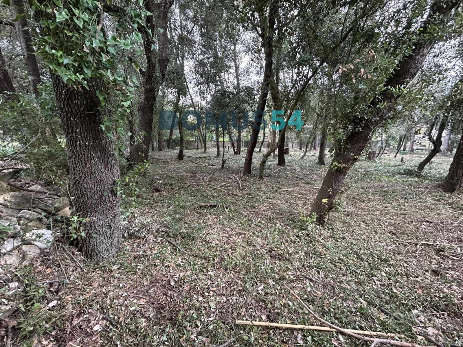 Bouwgrond te koop in Sa Pobla - € 400.000 (Ref: 9776013)