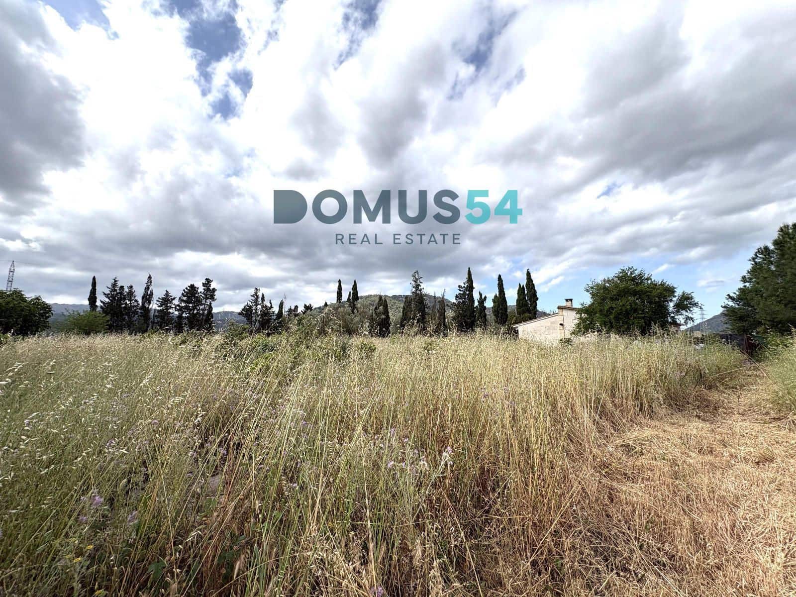 Undeveloped Land for sale in Sa Pobla - € 195,000 (Ref: 9820906)