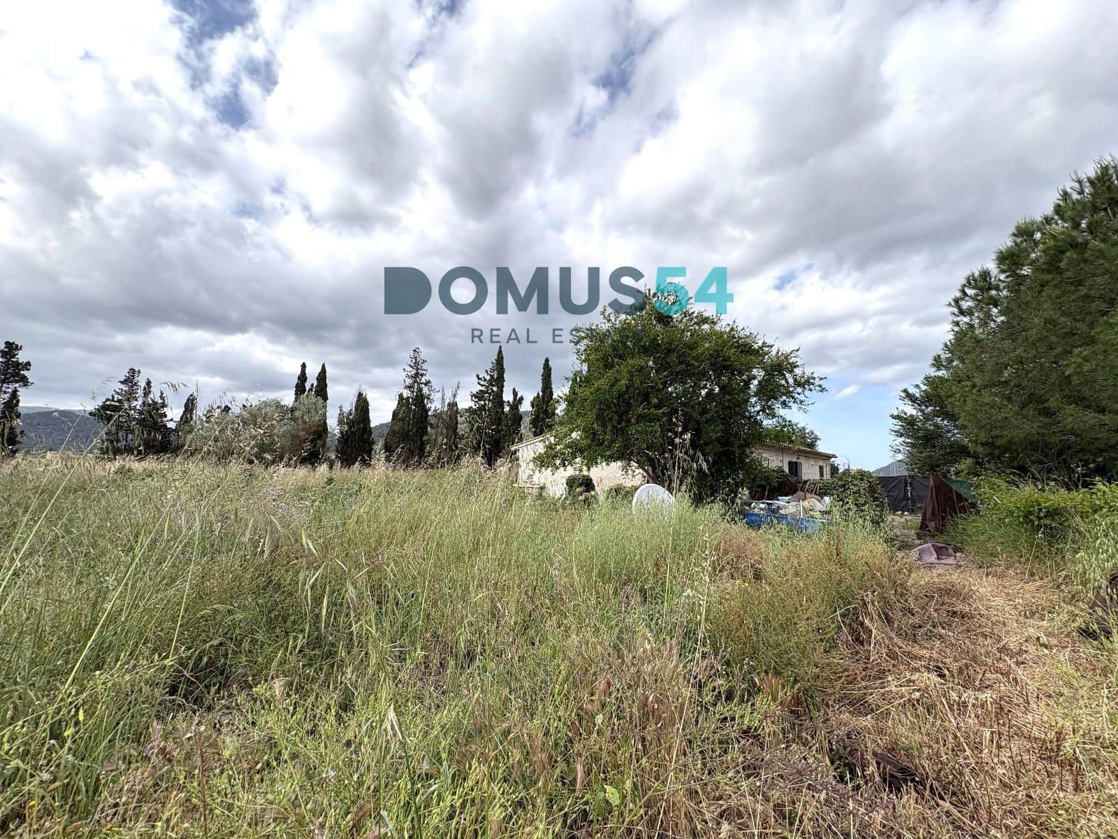 Undeveloped Land for sale in Sa Pobla - € 195,000 (Ref: 9820906)