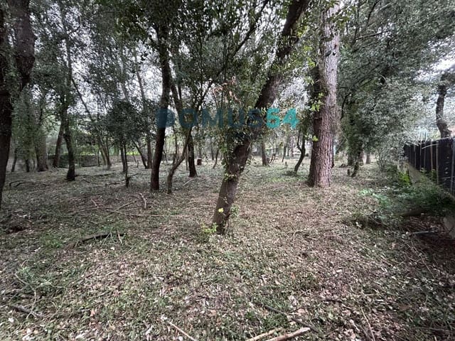 Terrain à Bâtir à vendre à Sa Pobla - 550 000 € (Ref: 9863588)