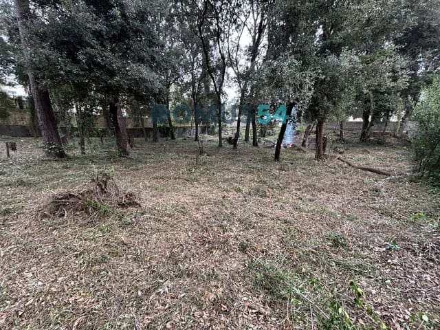 Terrain à Bâtir à vendre à Sa Pobla - 550 000 € (Ref: 9863588)