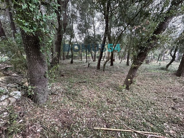 Terrain à Bâtir à vendre à Sa Pobla - 550 000 € (Ref: 9863588)