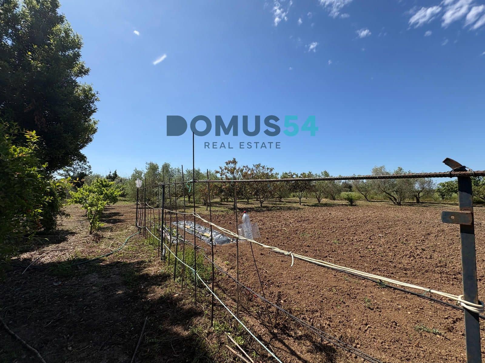Ubebygd land til salgs i Sa Pobla - € 120 000 (Ref: 9879823)