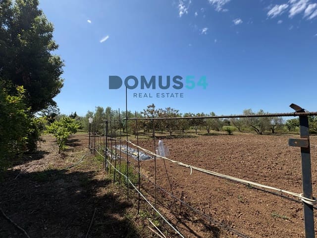 Ubebygd land til salgs i Sa Pobla - € 120 000 (Ref: 9879823)