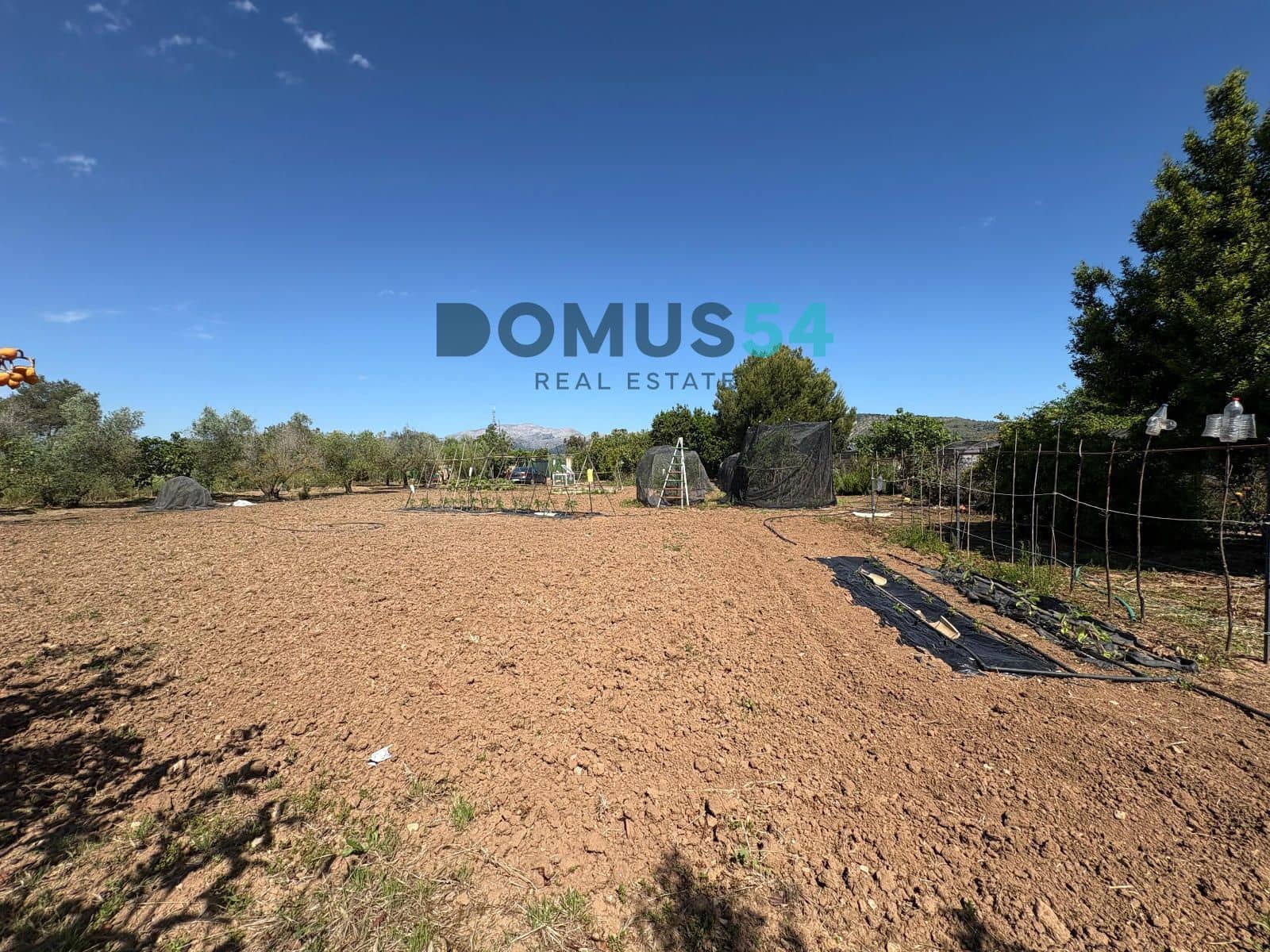 Ubebygd land til salgs i Sa Pobla - € 120 000 (Ref: 9879823)