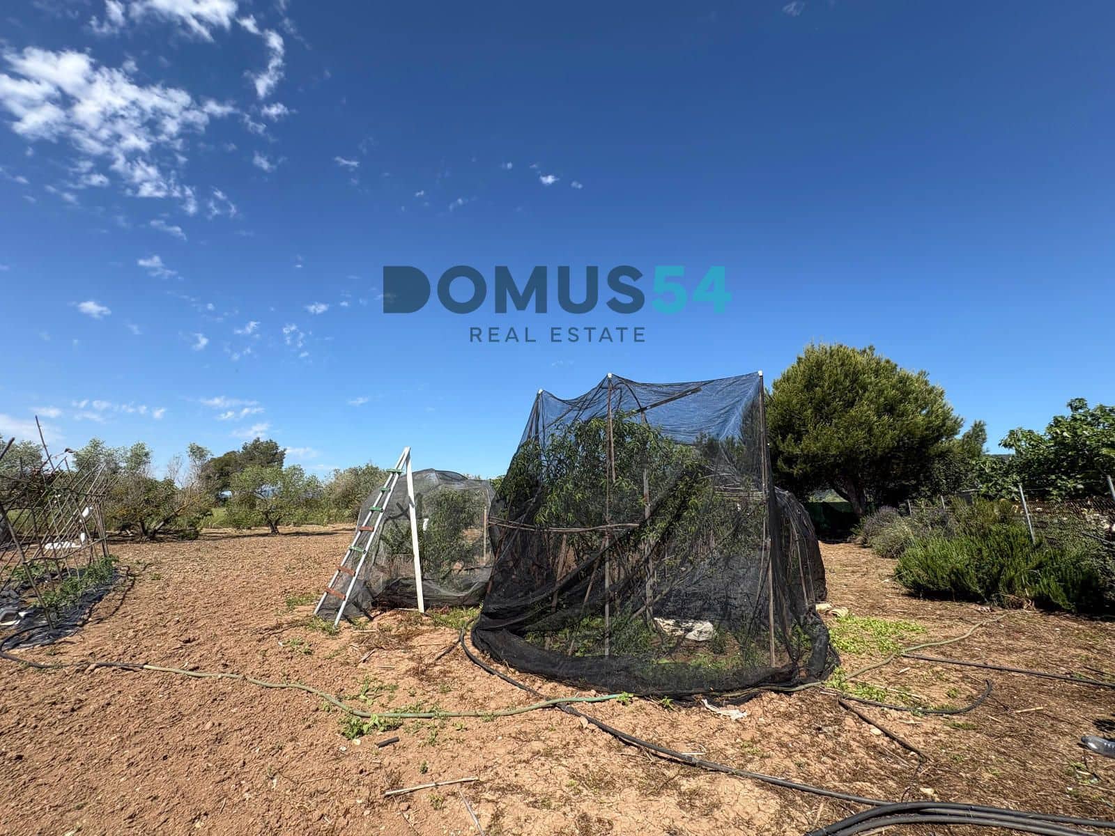 Ubebygd land til salgs i Sa Pobla - € 120 000 (Ref: 9879823)