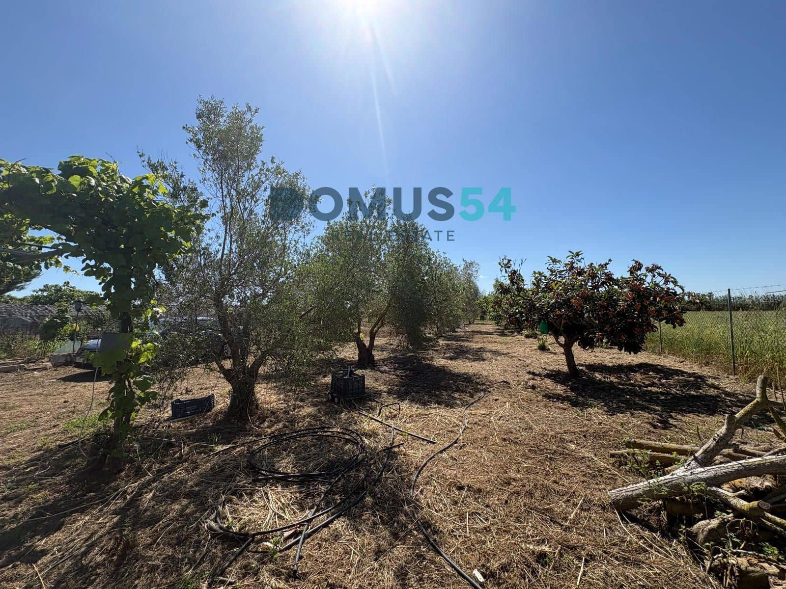 Ubebygd land til salgs i Sa Pobla - € 120 000 (Ref: 9879823)