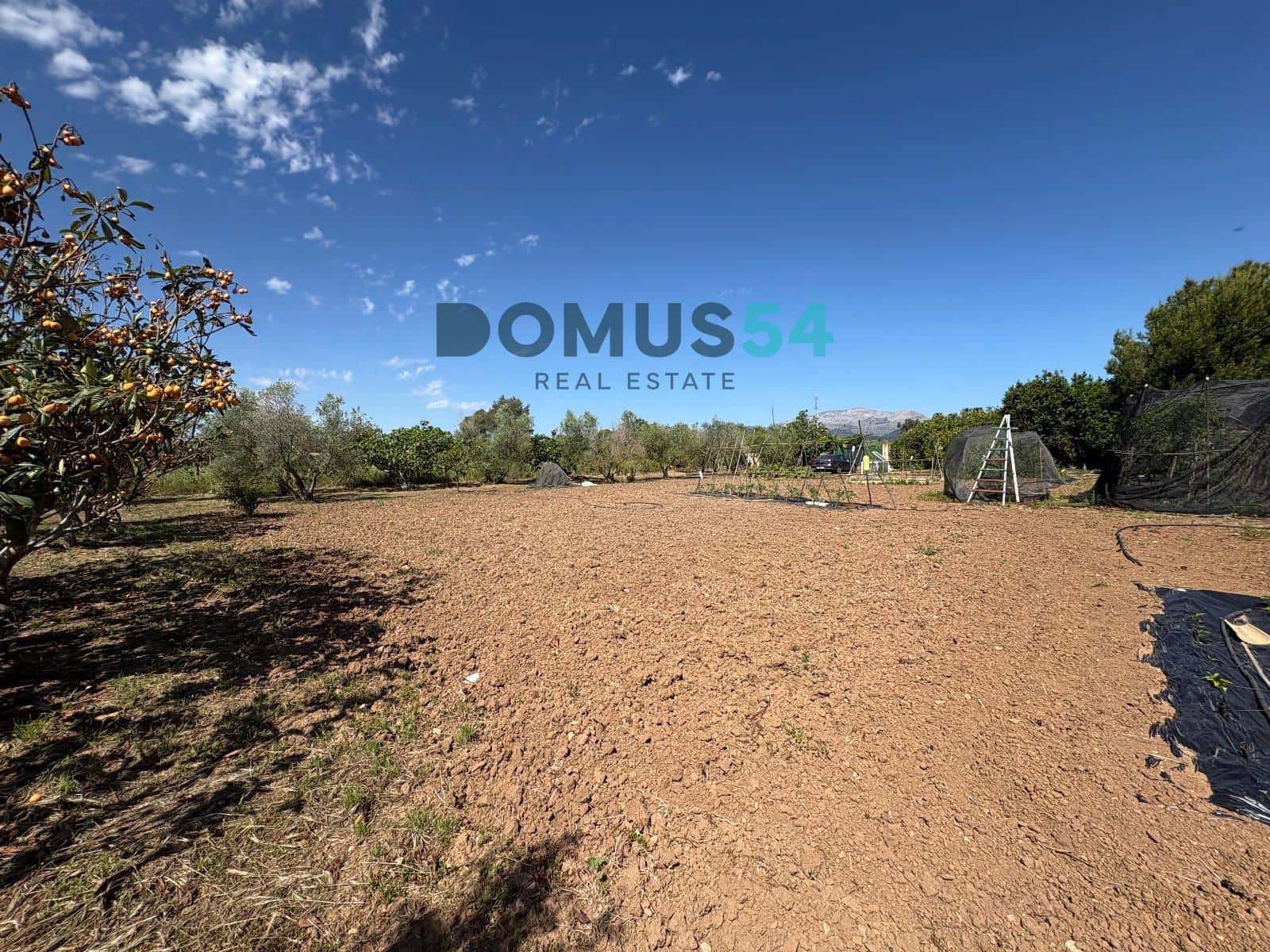 Ubebygd land til salgs i Sa Pobla - € 120 000 (Ref: 9879823)