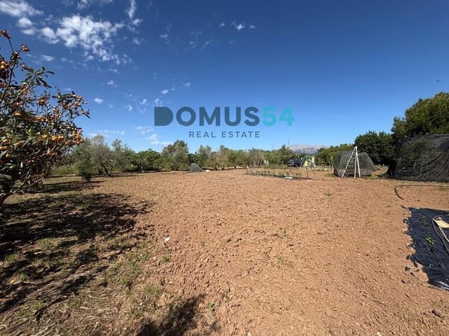 Ubebygd land til salgs i Sa Pobla - € 120 000 (Ref: 9879823)