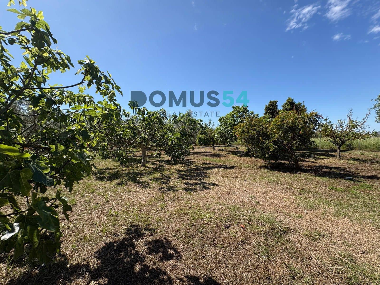 Ubebygd land til salgs i Sa Pobla - € 120 000 (Ref: 9879823)
