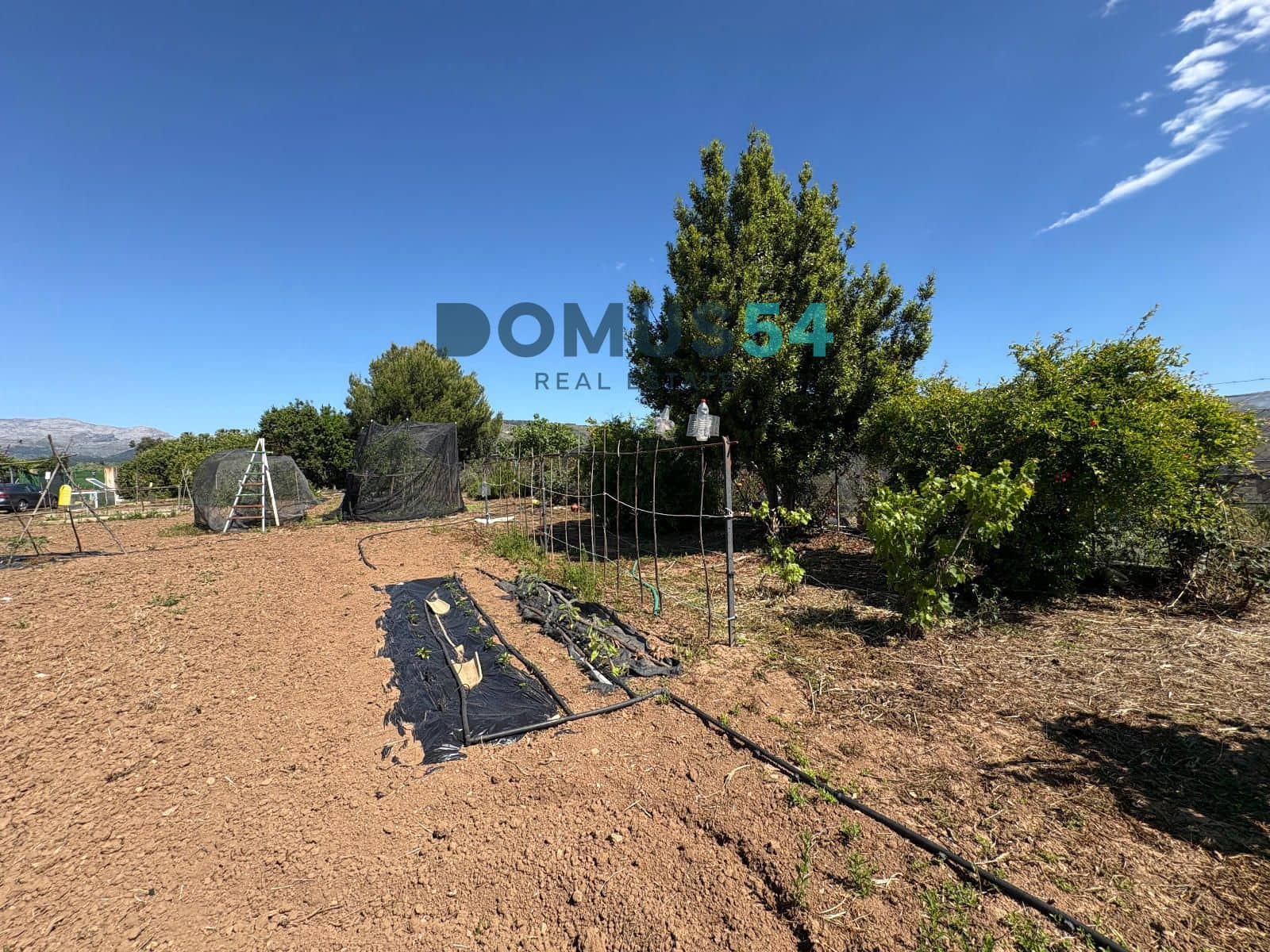 Ubebygd land til salgs i Sa Pobla - € 120 000 (Ref: 9879823)