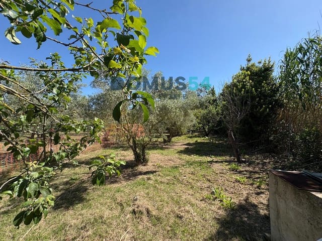 Ubebygd land til salgs i Sa Pobla - € 120 000 (Ref: 9879823)