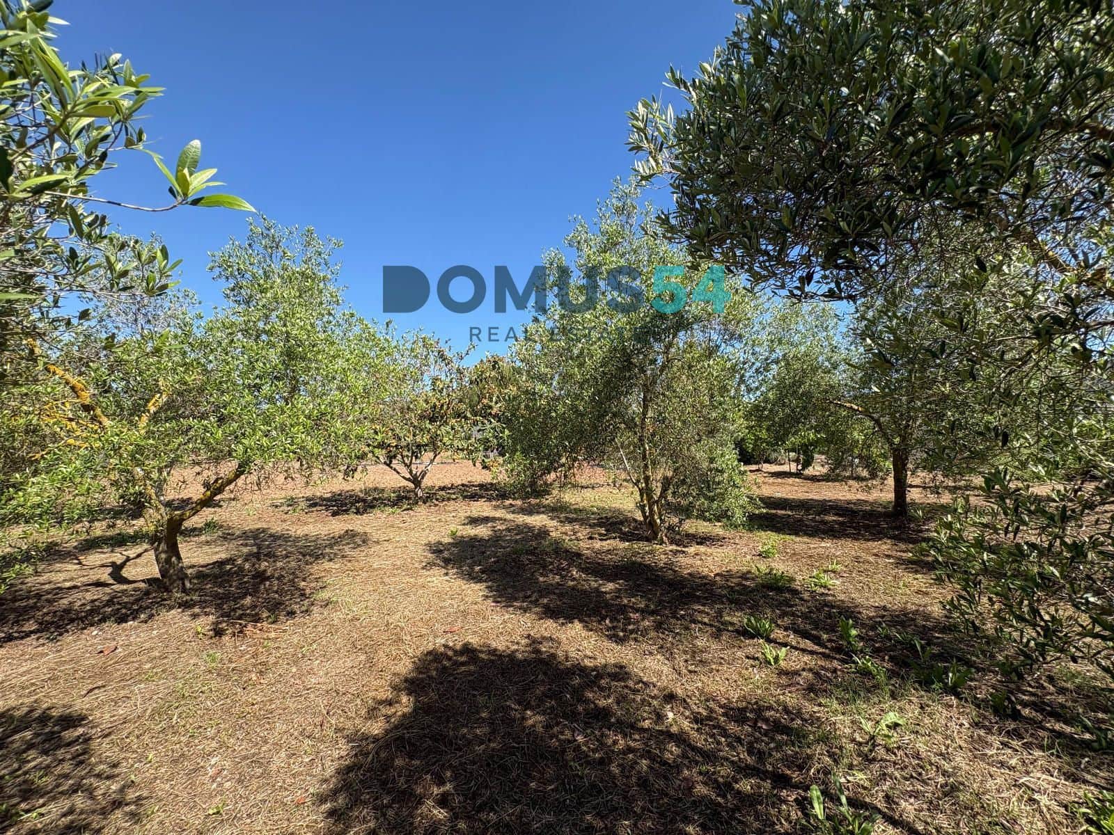 Ubebygd land til salgs i Sa Pobla - € 120 000 (Ref: 9879823)