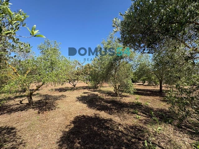 Ubebygd land til salgs i Sa Pobla - € 120 000 (Ref: 9879823)