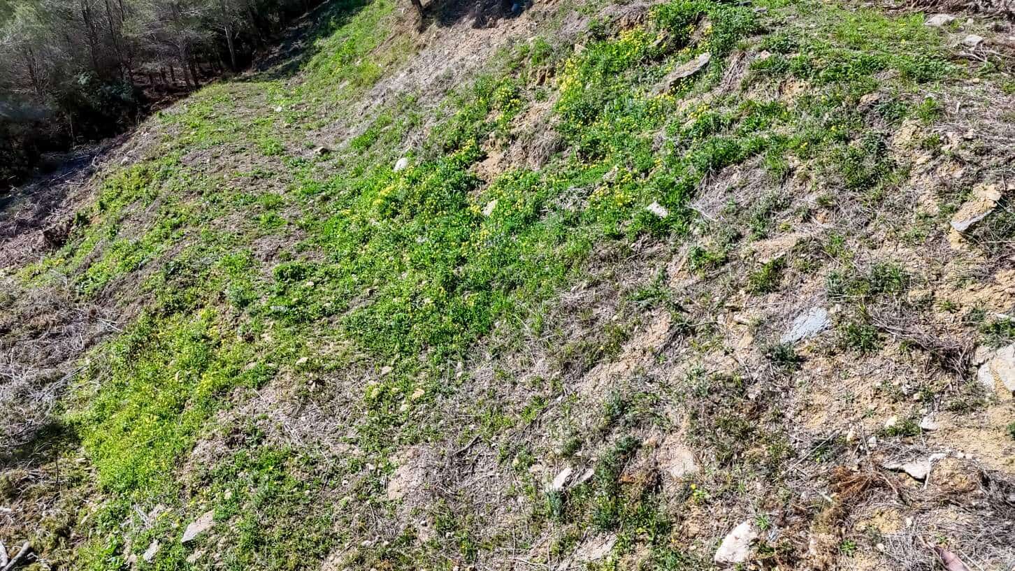 Byggegrund til salg i Altea la Vella - € 199.000 (Ref: 8580746)