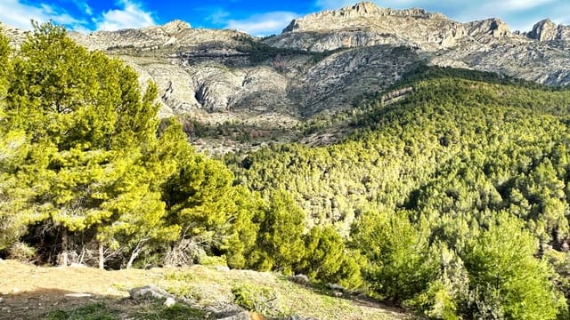 Bouwgrond te koop in Altea la Vella, Altea - € 237.500 (Ref: 8803777)