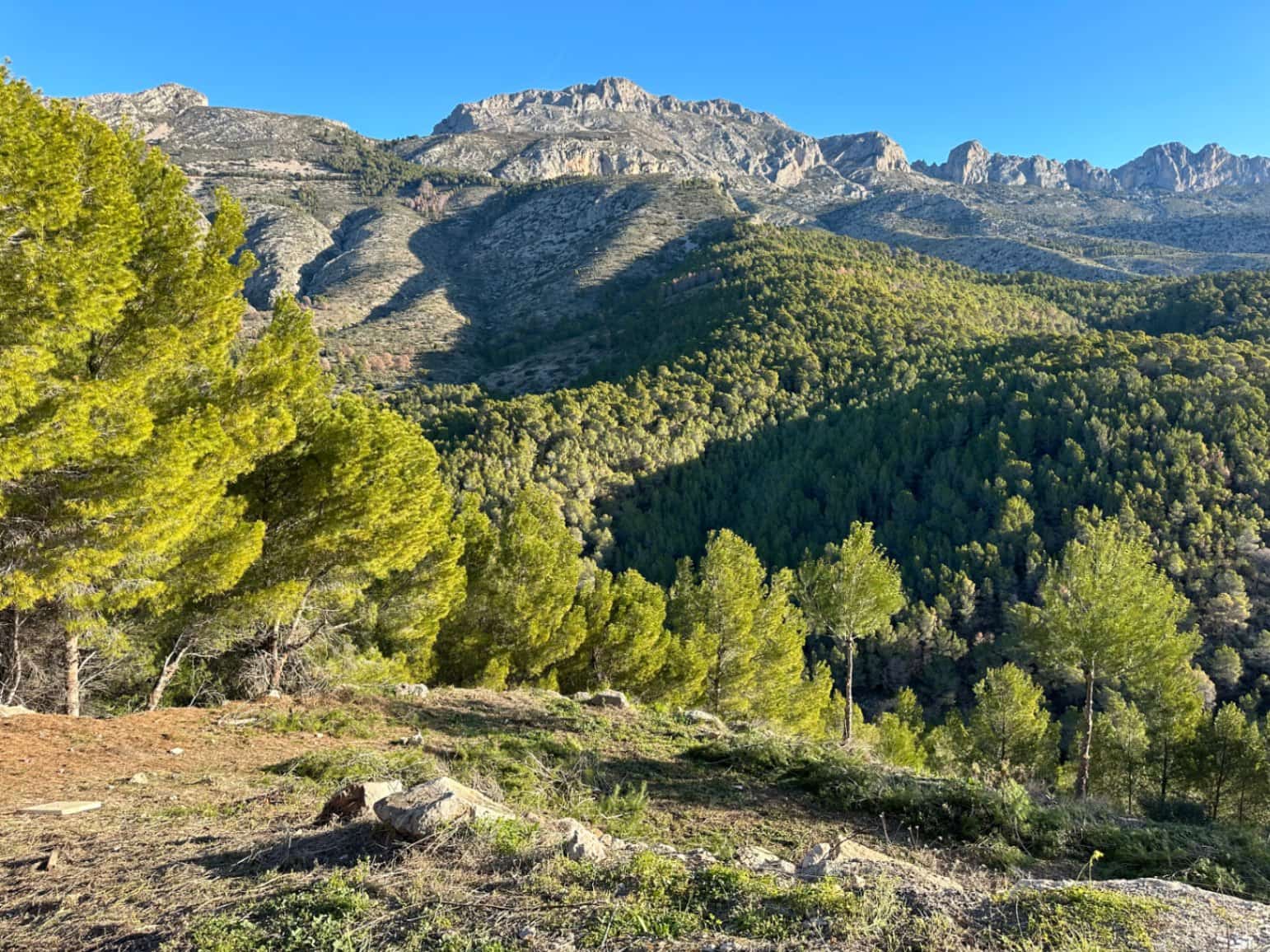 Byggegrund til salg i Altea la Vella - € 237.500 (Ref: 8803777)