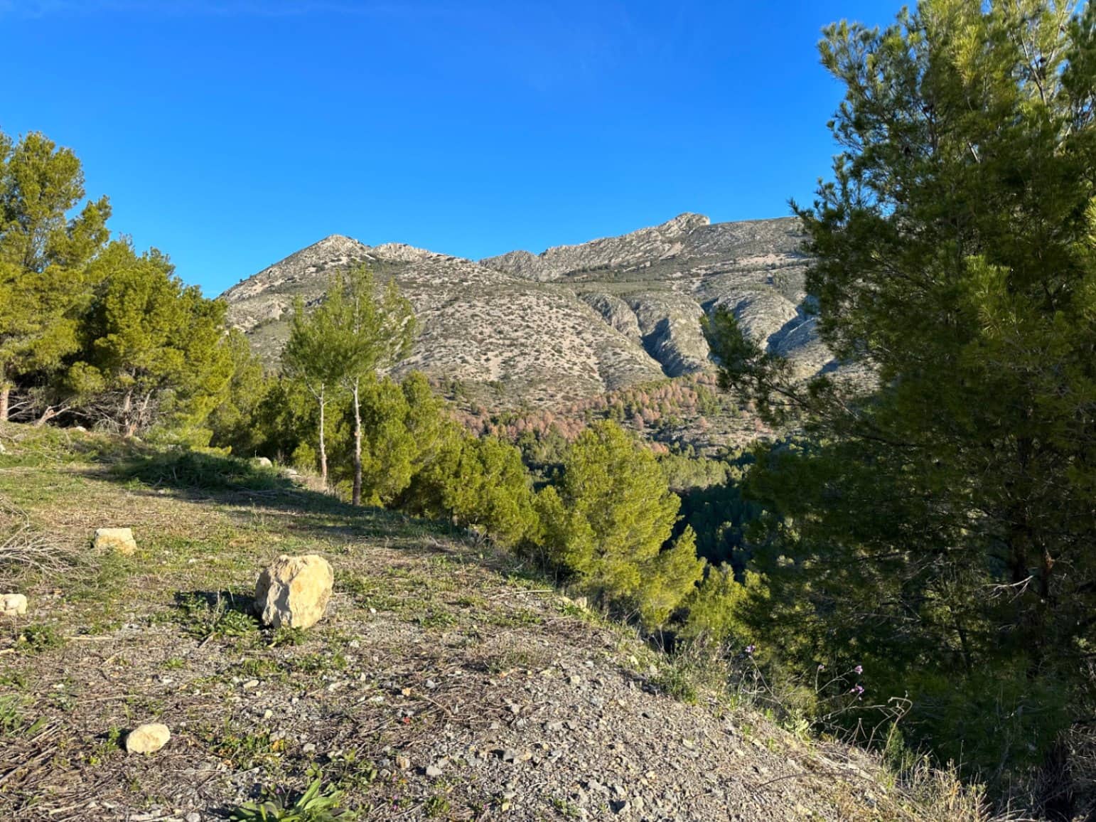 Byggegrund til salg i Altea la Vella - € 237.500 (Ref: 8803777)