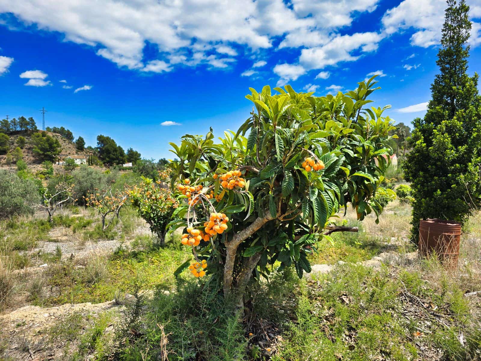 3 camera da letto Finca/Casa di Campagna in vendita in La Nucia con piscina garage - 1.500.000 € (Rif: 8881022)