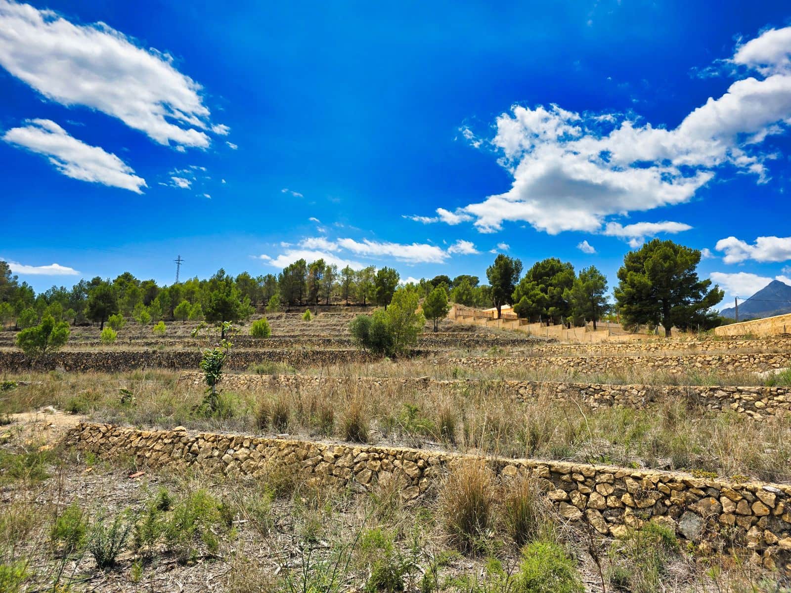 3 camera da letto Finca/Casa di Campagna in vendita in La Nucia con piscina garage - 1.500.000 € (Rif: 8881022)