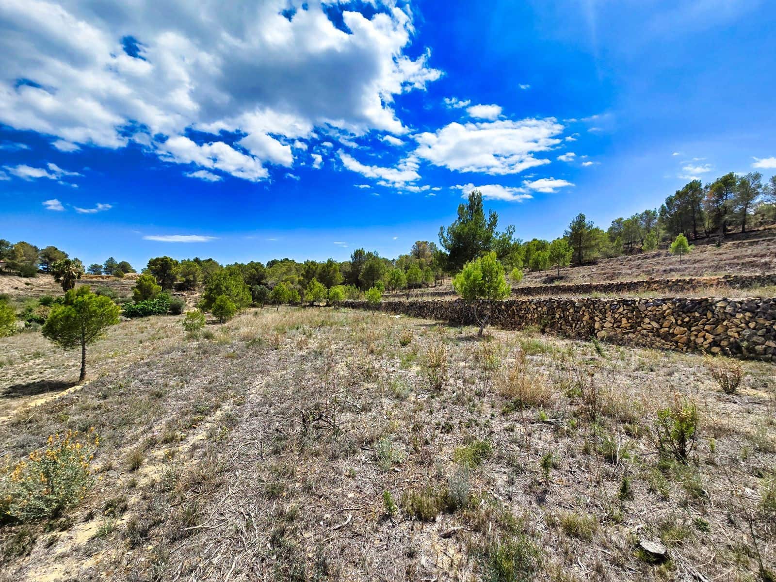 3 camera da letto Finca/Casa di Campagna in vendita in La Nucia con piscina garage - 1.500.000 € (Rif: 8881022)