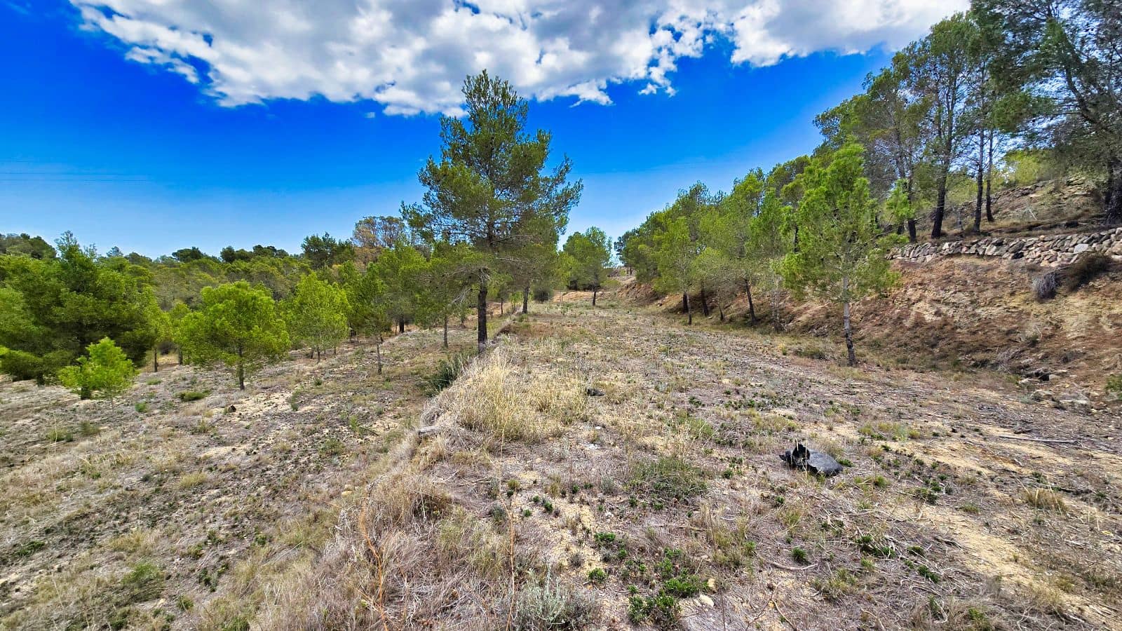 3 camera da letto Finca/Casa di Campagna in vendita in La Nucia con piscina garage - 1.500.000 € (Rif: 8881022)