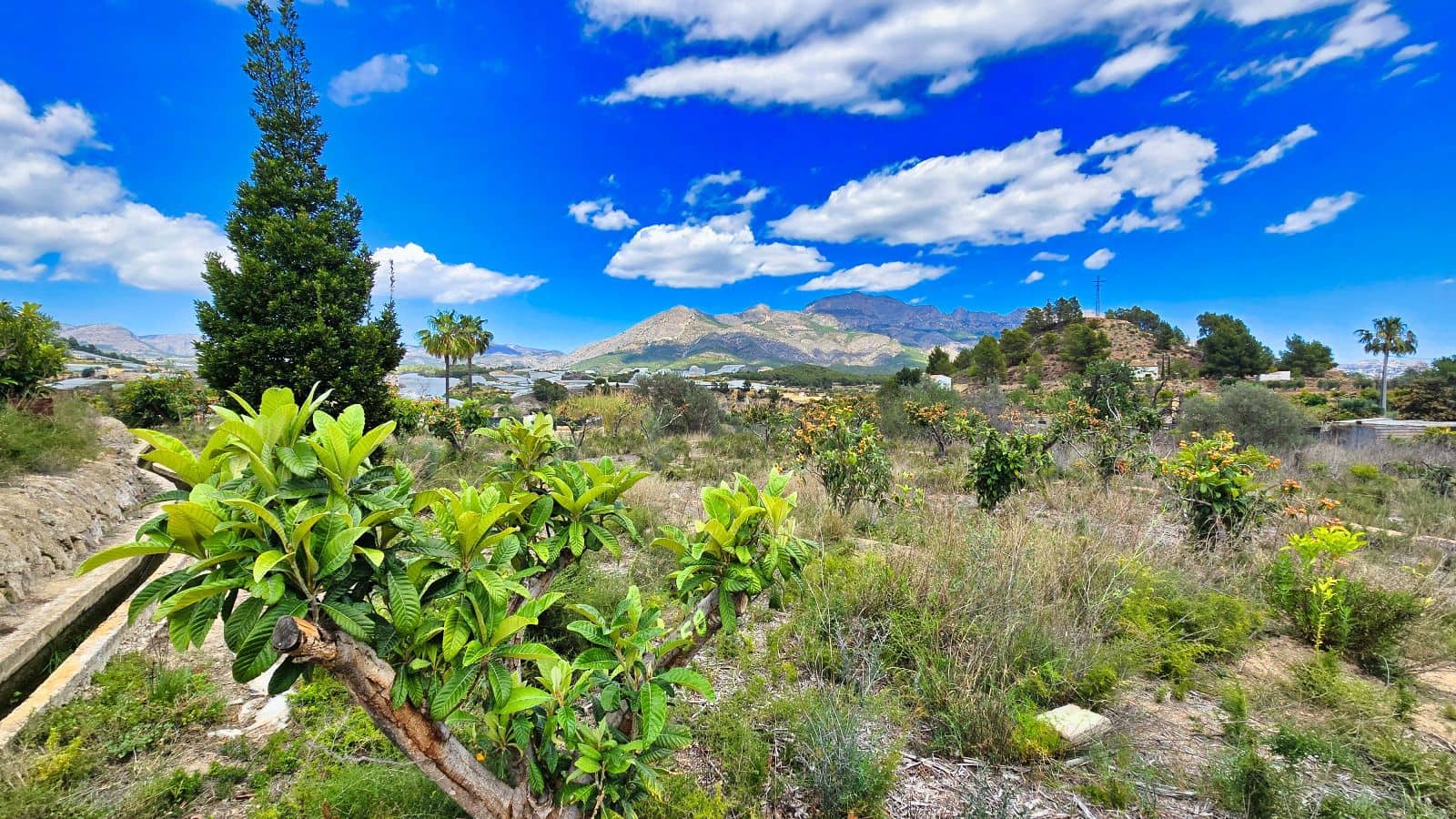 3 camera da letto Finca/Casa di Campagna in vendita in La Nucia con piscina garage - 1.500.000 € (Rif: 8881022)