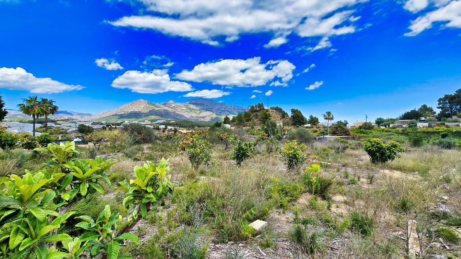 3 camera da letto Finca/Casa di Campagna in vendita in La Nucia con piscina garage - 1.500.000 € (Rif: 8881022)