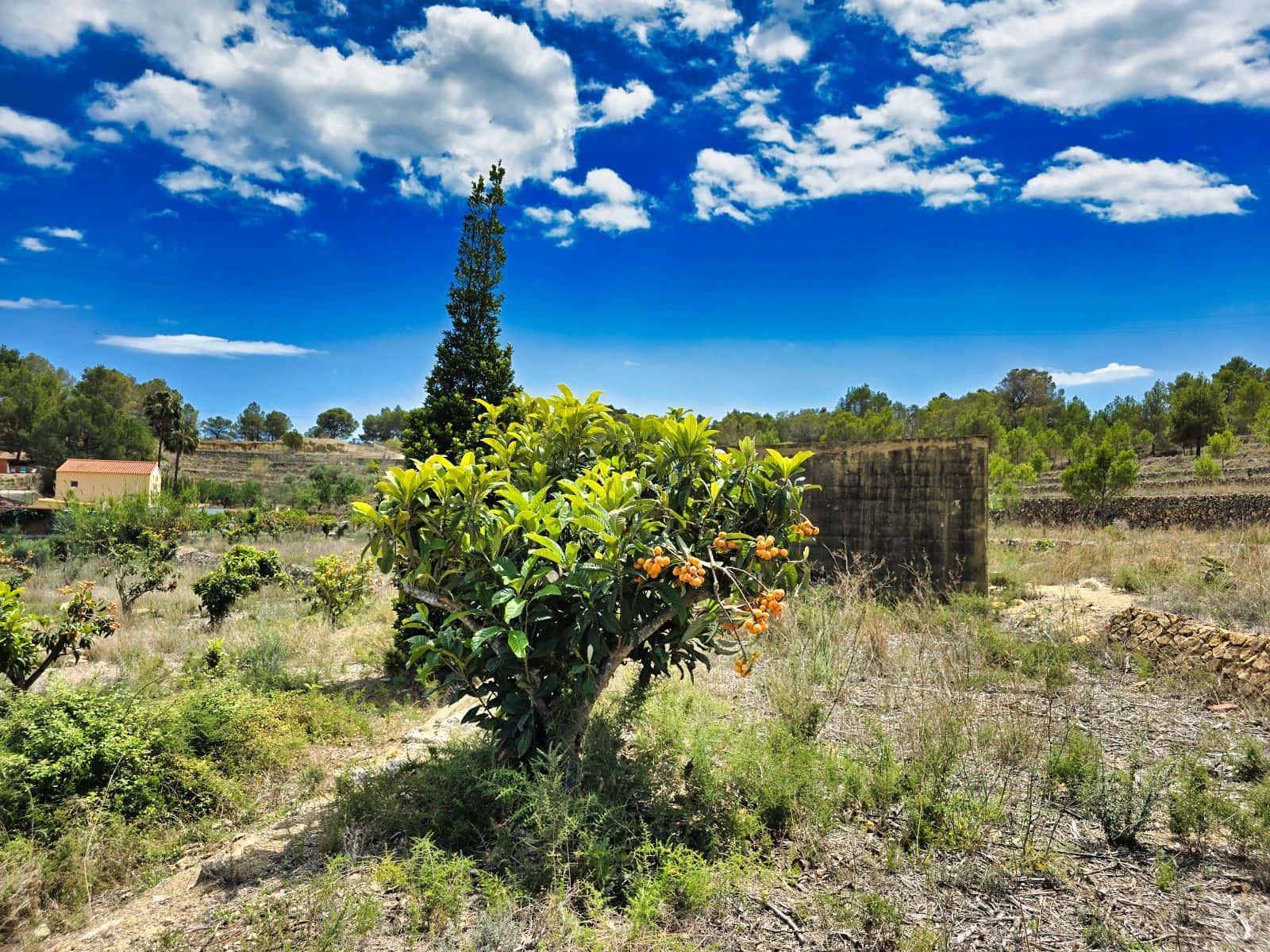 3 camera da letto Finca/Casa di Campagna in vendita in La Nucia con piscina garage - 1.500.000 € (Rif: 8881022)