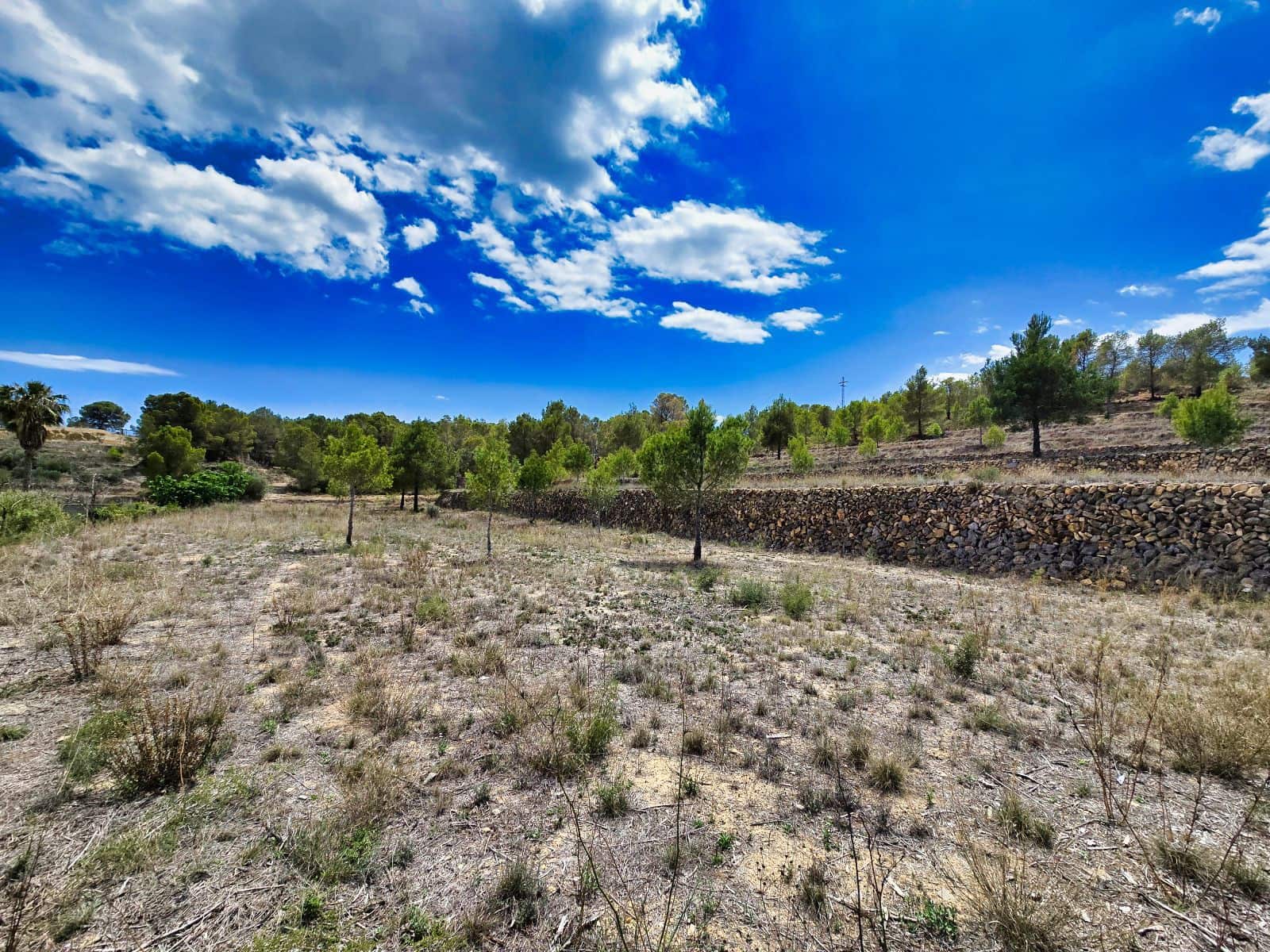 3 camera da letto Finca/Casa di Campagna in vendita in La Nucia con piscina garage - 1.500.000 € (Rif: 8881022)