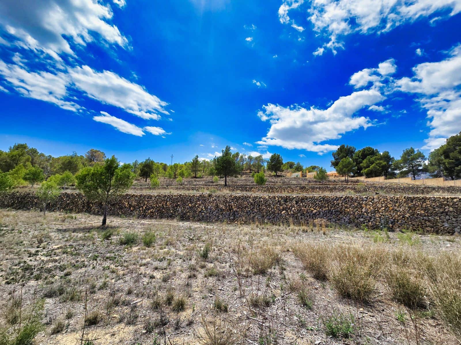 3 camera da letto Finca/Casa di Campagna in vendita in La Nucia con piscina garage - 1.500.000 € (Rif: 8881022)