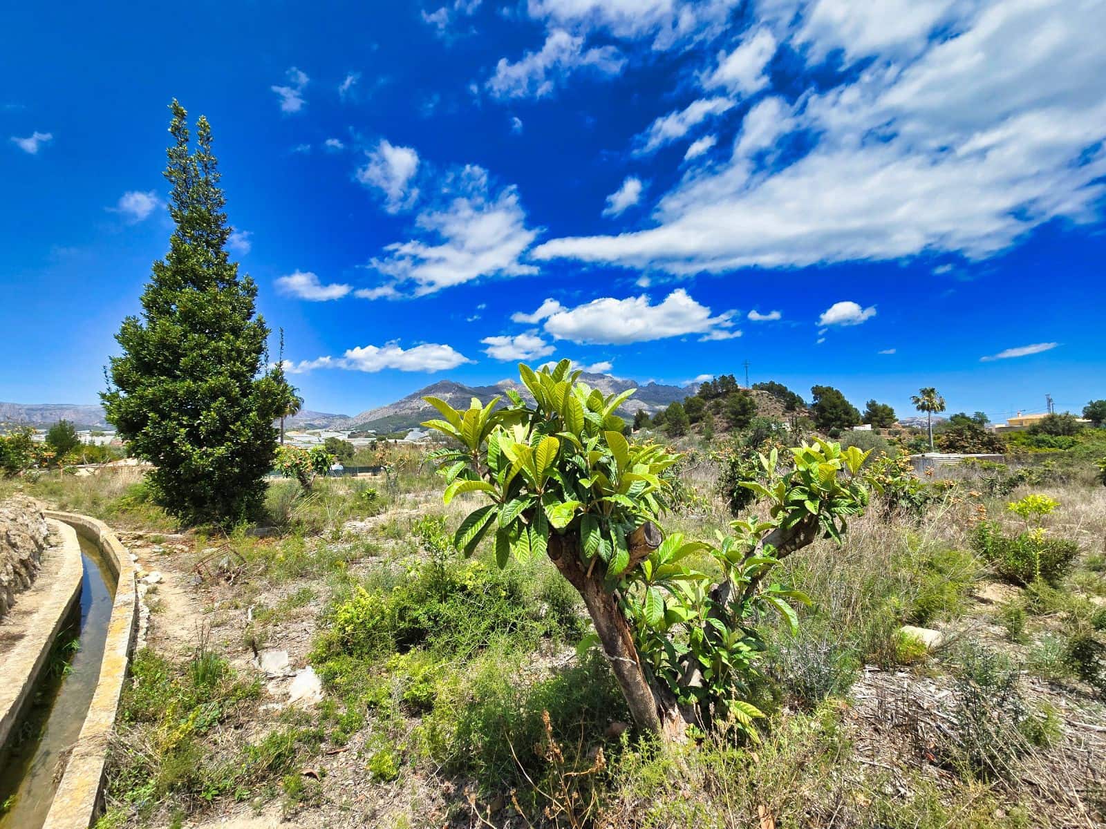 3 camera da letto Finca/Casa di Campagna in vendita in La Nucia con piscina garage - 1.500.000 € (Rif: 8881022)