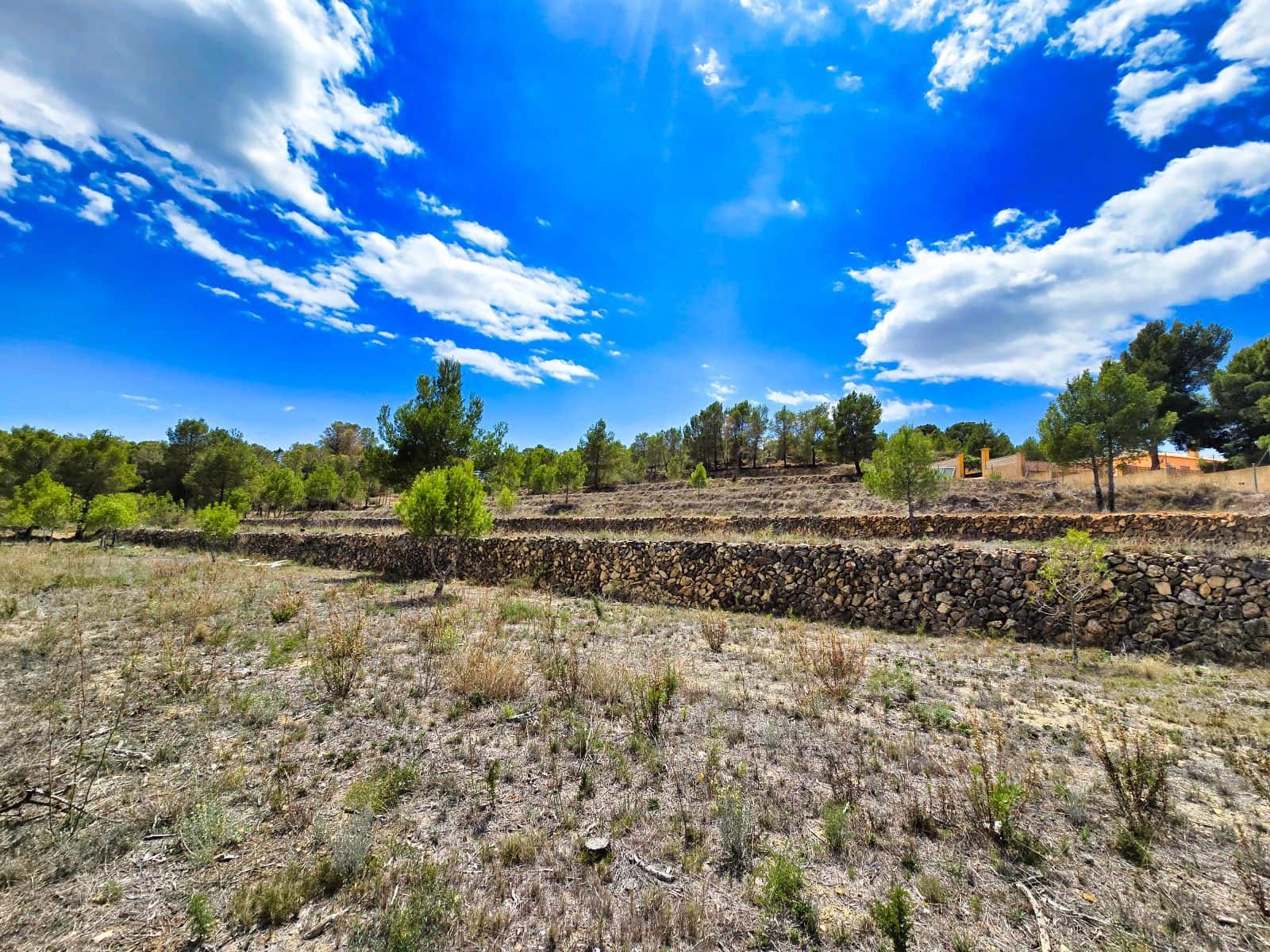 3 camera da letto Finca/Casa di Campagna in vendita in La Nucia con piscina garage - 1.500.000 € (Rif: 8881022)