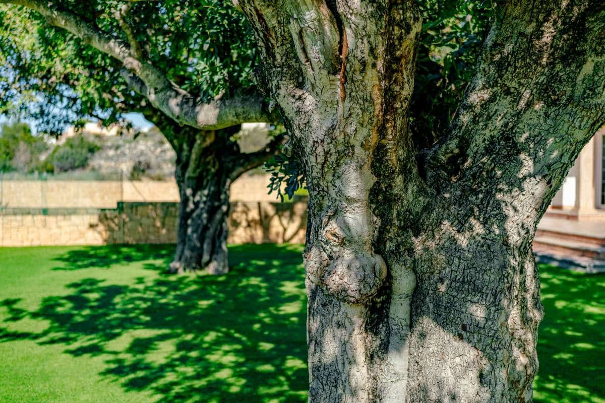 6 chambre Villa/Maison à vendre à Calpe / Calp avec piscine - 3 150 000 € (Ref: 8966715)