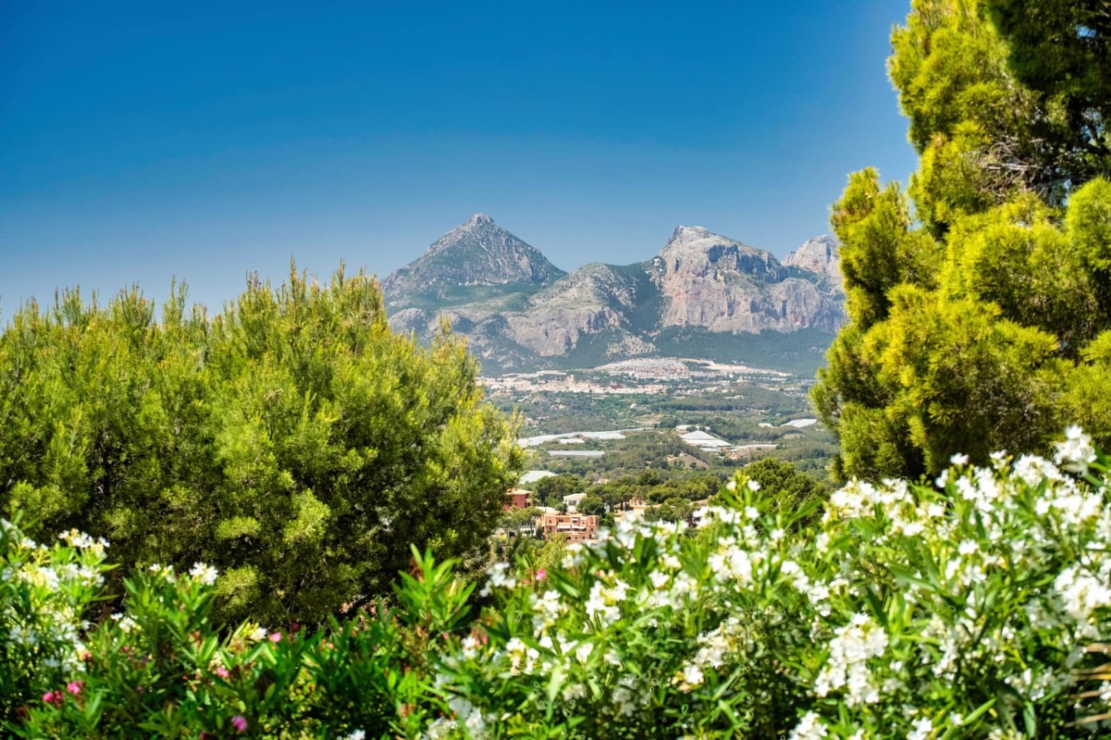 5 soveværelse Villa til salg i Altea - € 1.975.000 (Ref: 9003154)