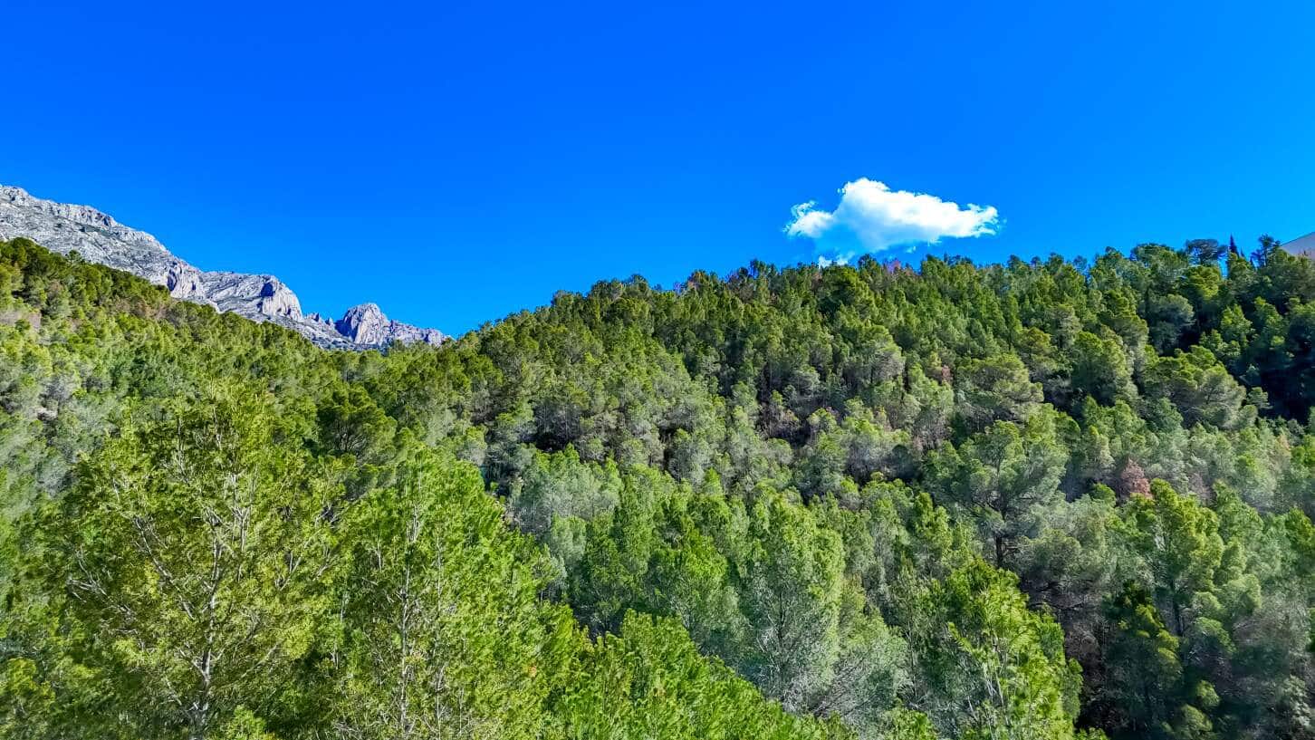 Byggegrund til salg i Altea - € 145.000 (Ref: 9031050)