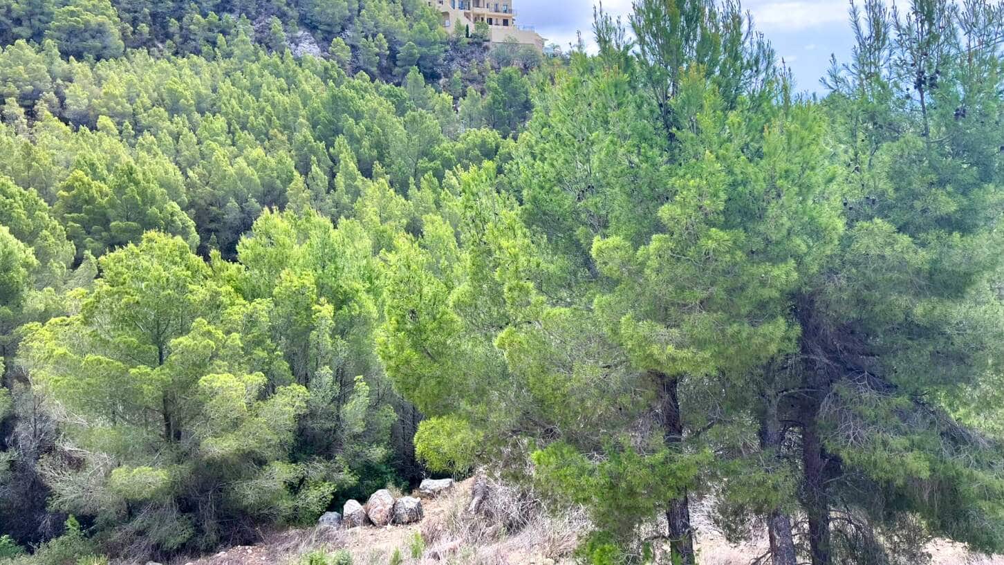 Byggegrund til salg i Altea - € 145.000 (Ref: 9031050)