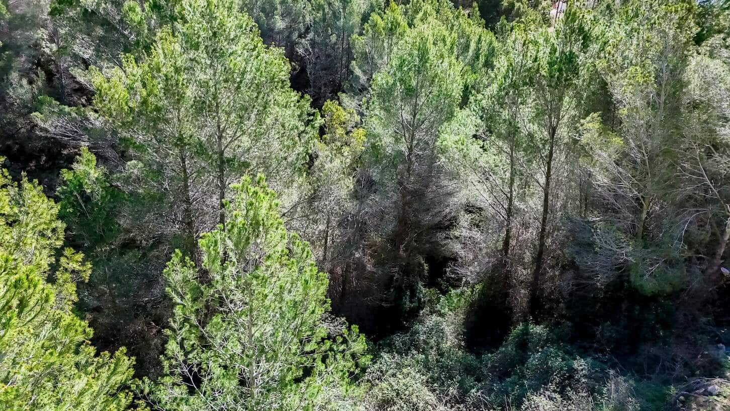 Byggegrund til salg i Altea - € 145.000 (Ref: 9031050)