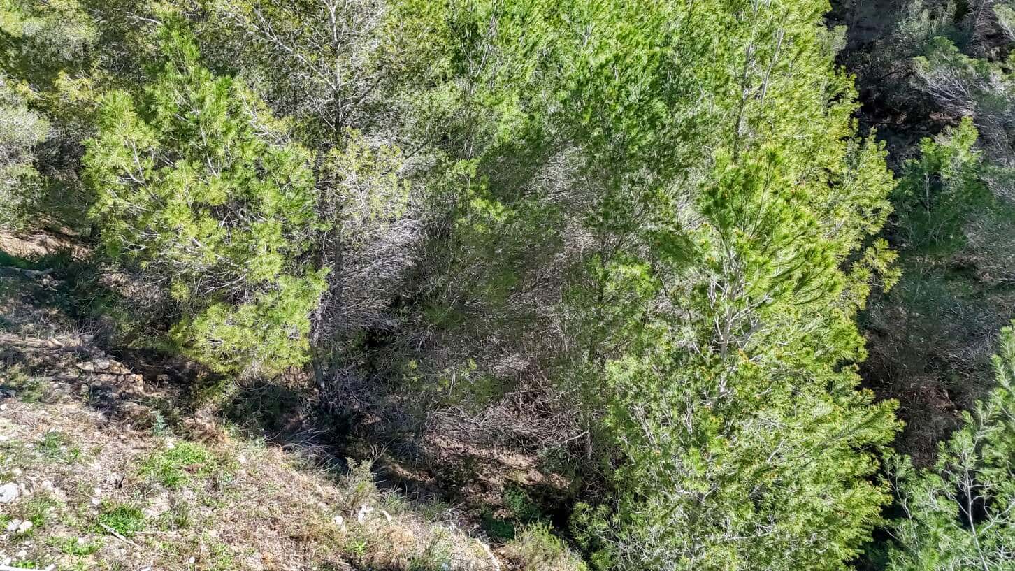 Byggegrund til salg i Altea - € 145.000 (Ref: 9031050)