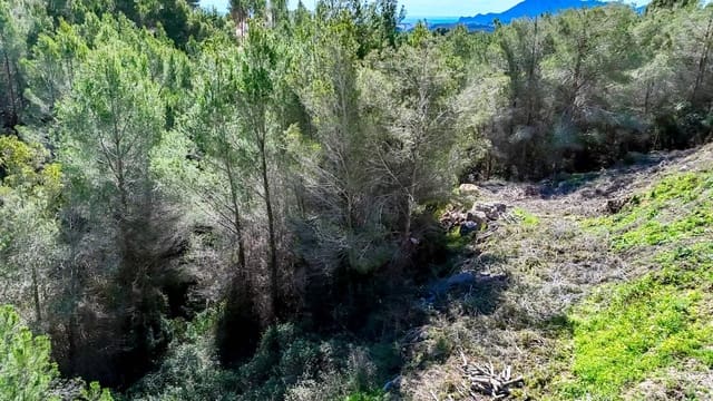 Byggegrund til salg i Altea - € 145.000 (Ref: 9031050)