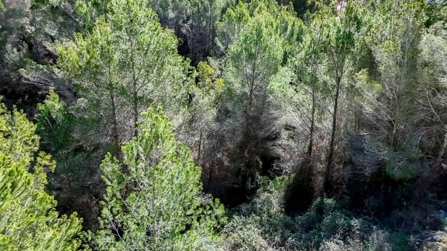 Byggegrund til salg i Altea - € 145.000 (Ref: 9031050)