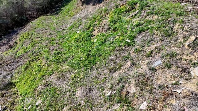 Byggegrund til salg i Altea - € 145.000 (Ref: 9031050)