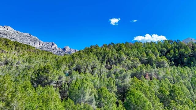 Byggegrund til salg i Altea - € 145.000 (Ref: 9031051)