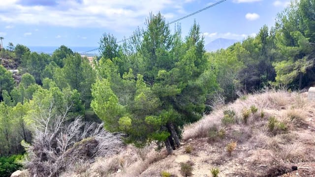 Byggegrund til salg i Altea - € 145.000 (Ref: 9031051)