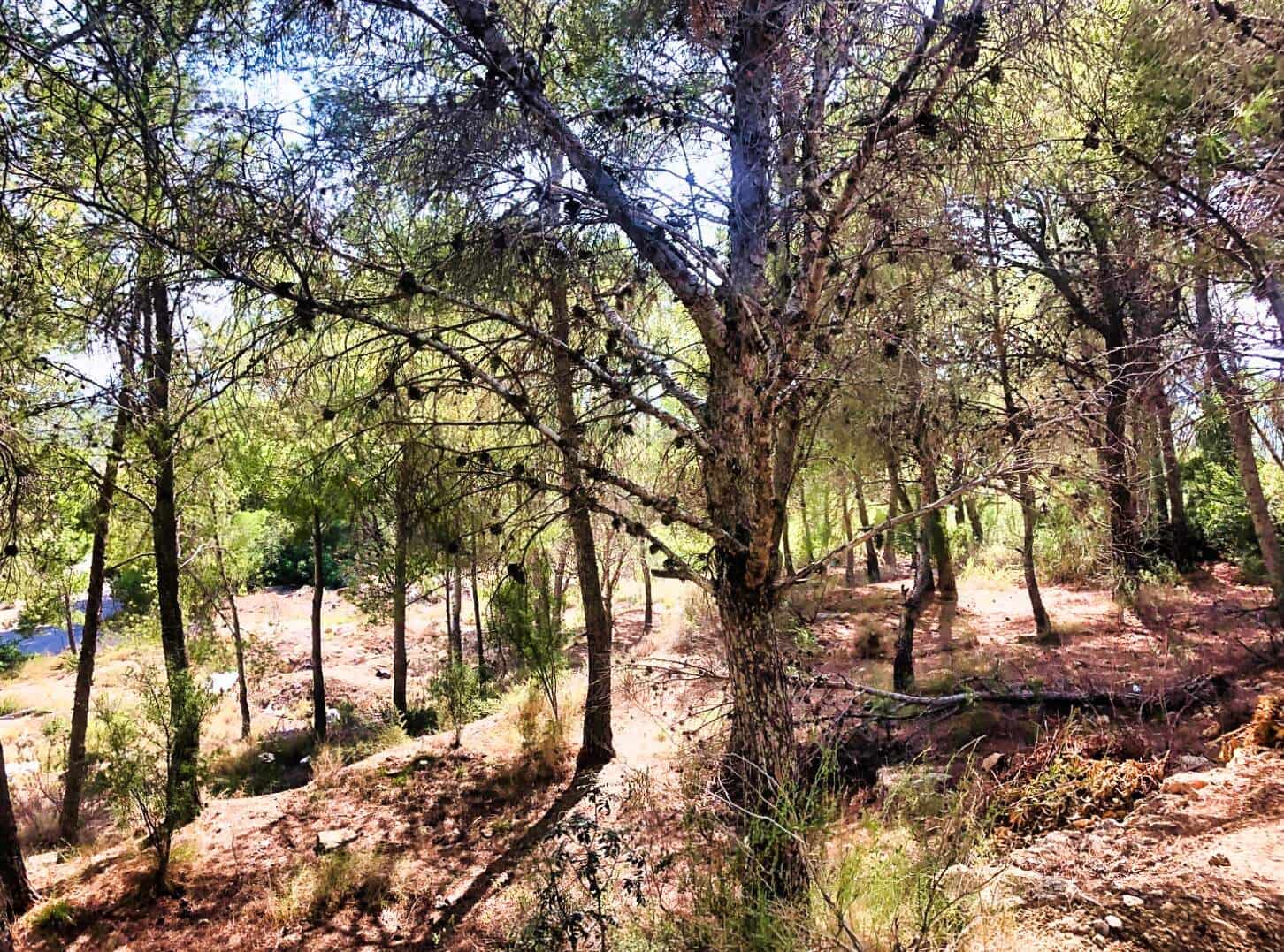 Bouwgrond te koop in Altea la Vella - € 549.000 (Ref: 9148008)