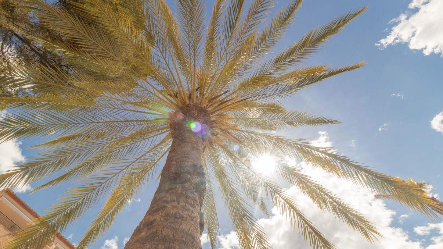 4 bedroom Bungalow for sale in Altea with pool garage - € 520,000 (Ref: 9194922)