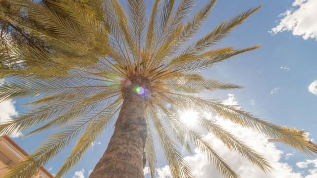 4 bedroom Bungalow for sale in Altea with pool garage - € 520,000 (Ref: 9194922)