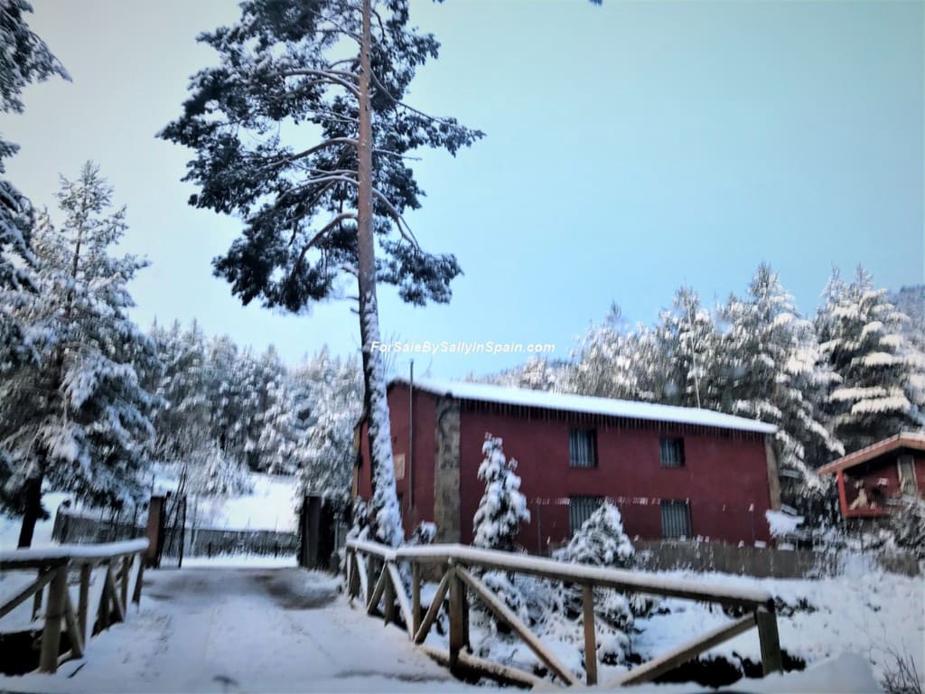 22 soveværelse Villa til salg i Orea - € 550.000 (Ref: 5884001)