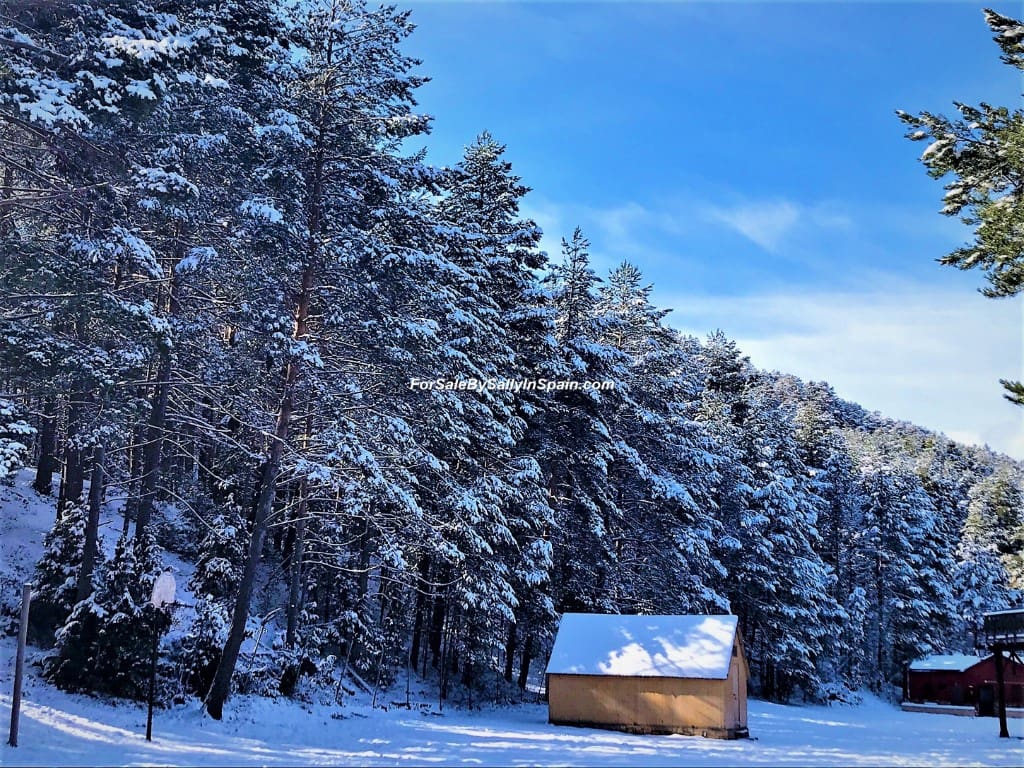 22 soveværelse Villa til salg i Orea - € 550.000 (Ref: 5884001)